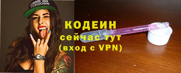 гидра Нея