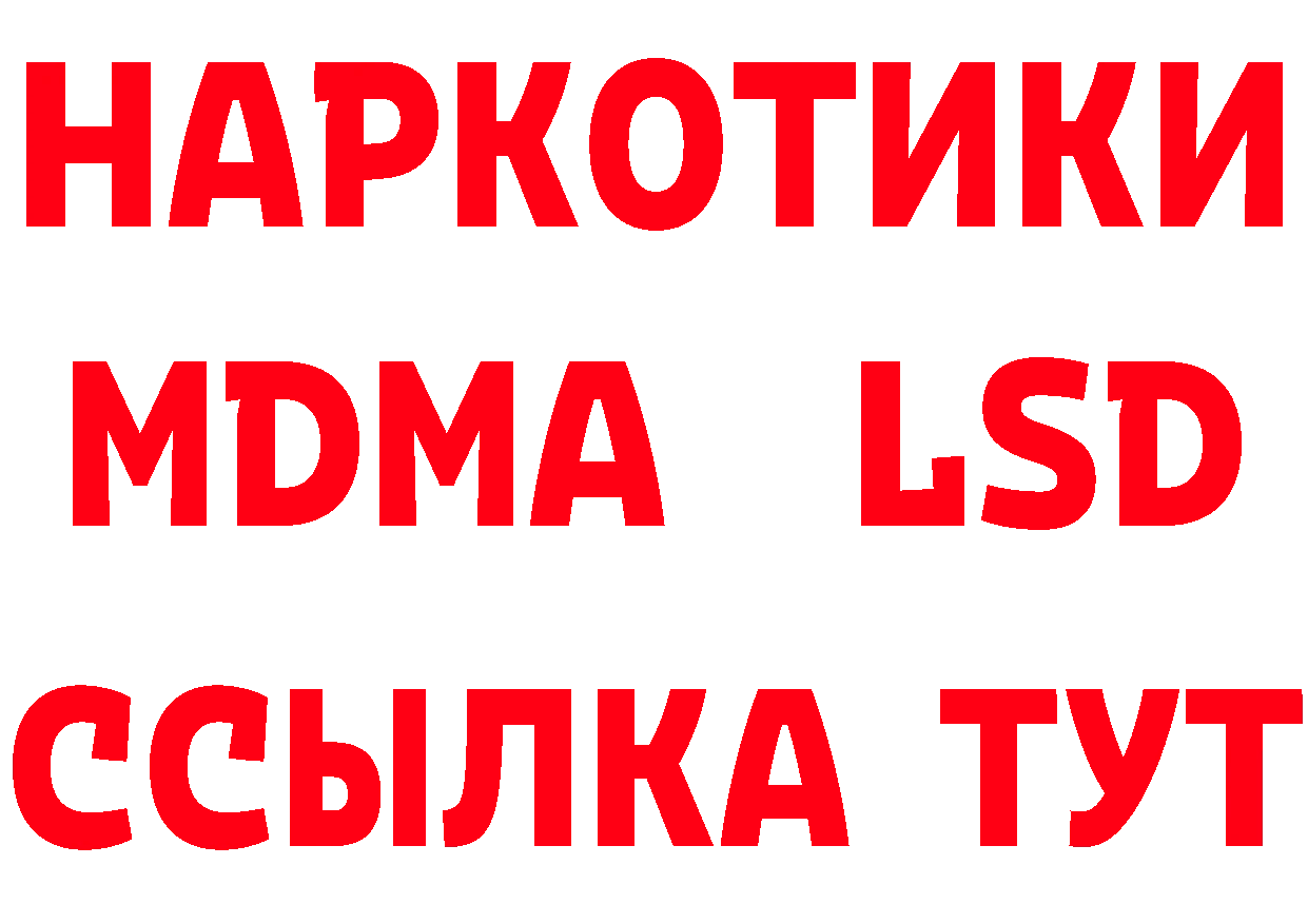 БУТИРАТ буратино как войти это blacksprut Бирюч